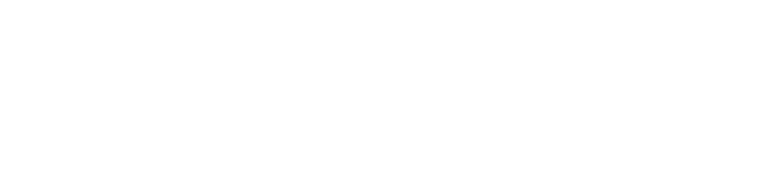 NetGeek